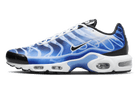 Nike Air Max Plus Light Photography Old Royal, Old Royal/Black/Varsity Royal/Ice Blue (DZ3531-400)