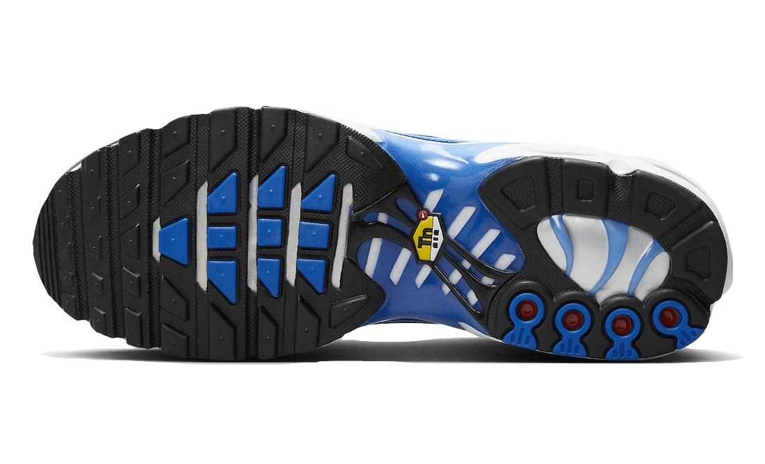 Nike Air Max Plus Light Photography Old Royal, Old Royal/Black/Varsity Royal/Ice Blue (DZ3531-400)