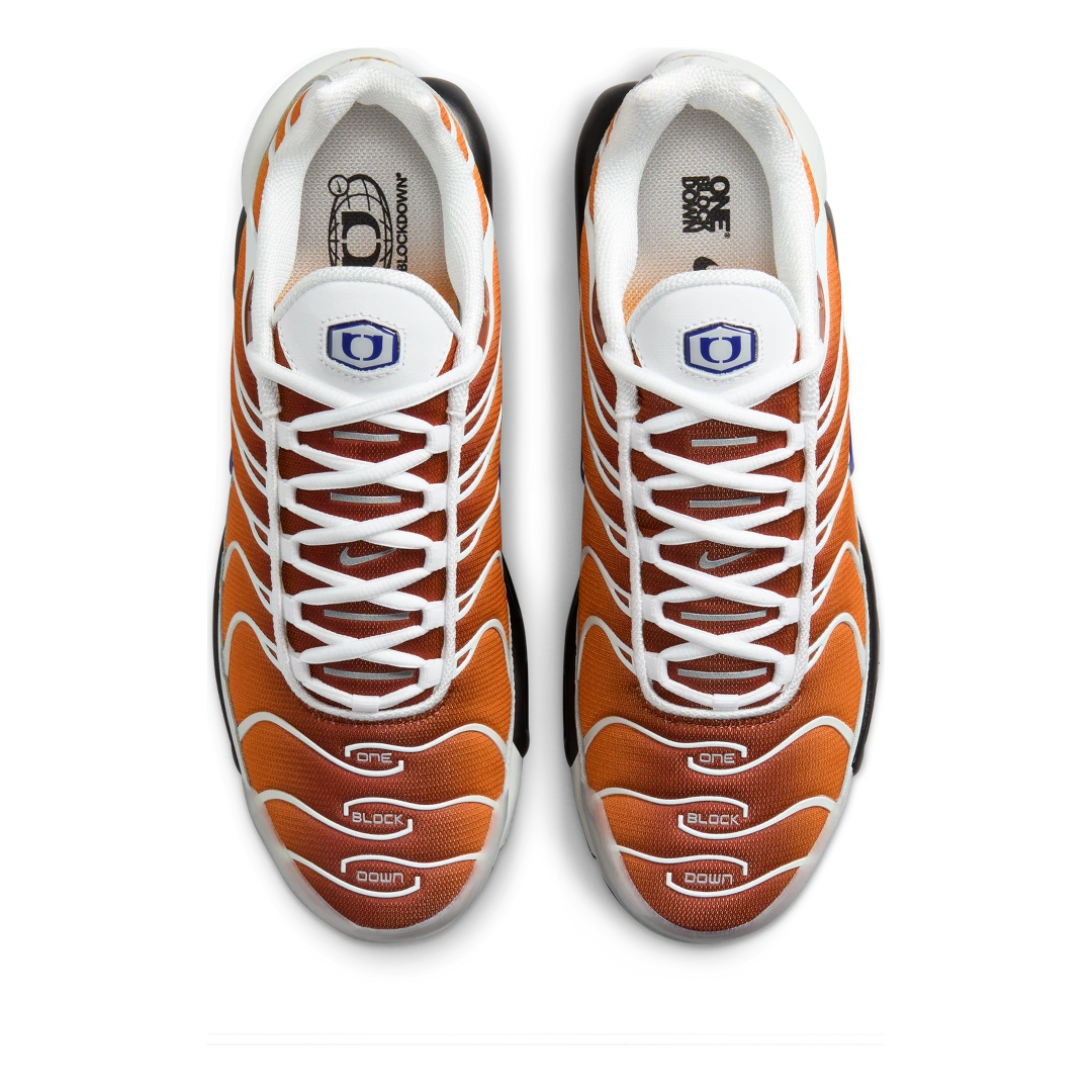 Nike Air Max Plus One Block Down Chutney, Chutney/Photon Dust/Regency Purple (FZ3308-700)