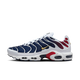 Nike Air Max Plus PSG