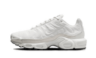 Nike Air Max Plus Platinum Tint, Platinum Tint/White-Black (FZ4342-001)