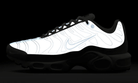 Nike Air Max Plus Platinum Tint, Platinum Tint/White-Black (FZ4342-001)