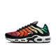 Nike Air Max Plus Rainbow