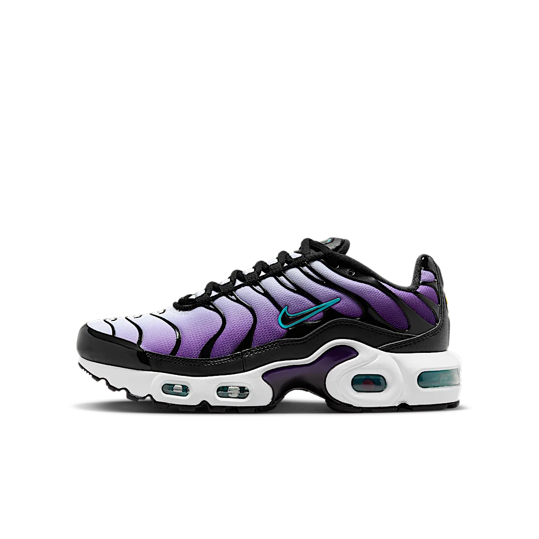 Nike Air Max Plus Reverse Grape, Disco Purple/Black/Teal Nebula/Space Purple/White/Metallic Silver (FQ2412-500)