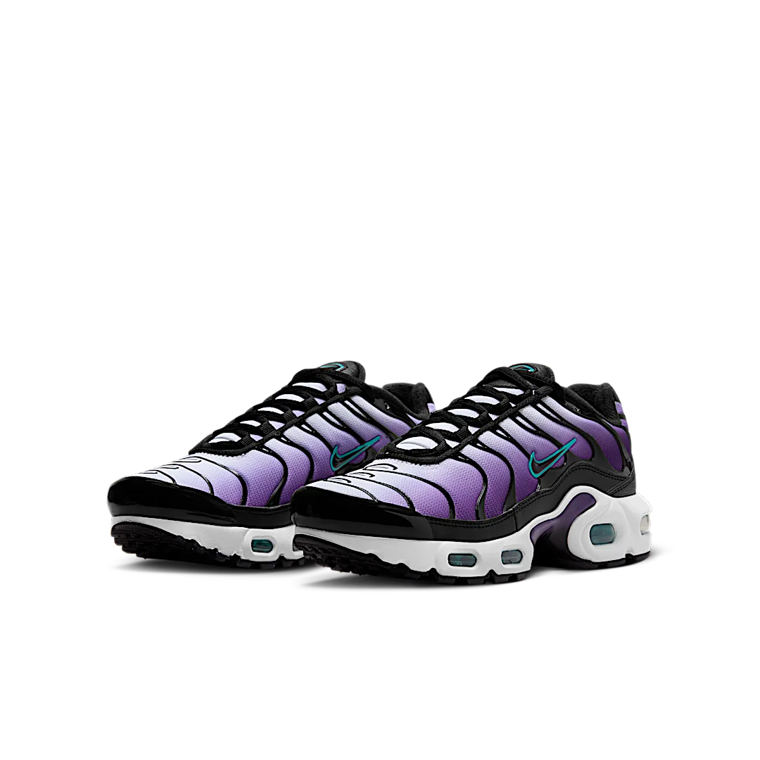 Nike Air Max Plus Reverse Grape, Disco Purple/Black/Teal Nebula/Space Purple/White/Metallic Silver (FQ2412-500)