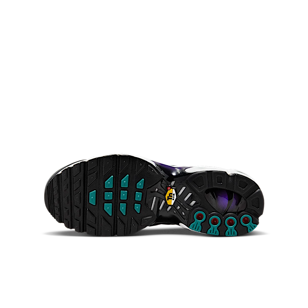 Nike Air Max Plus Reverse Grape, Disco Purple/Black/Teal Nebula/Space Purple/White/Metallic Silver (FQ2412-500)