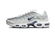 Nike Air Max Plus Smoke Grey Ashen Slate