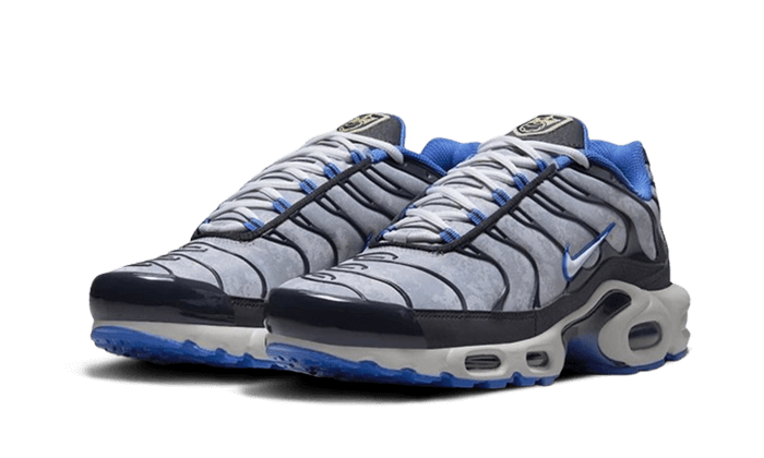 Nike Air Max Plus Social F.C., Cloud Grey/Black (DQ3981-001)