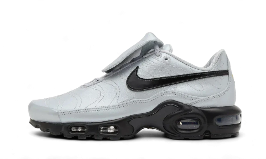 Nike Air Max Plus Tiempo Wolf Grey Black, Wolf Grey/Black/Metallic Silver (HM6850-001)