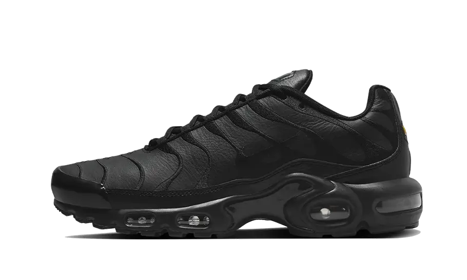 Nike Air Max Plus Triple Black Leather, Black/Black-Black (AJ2029-001)