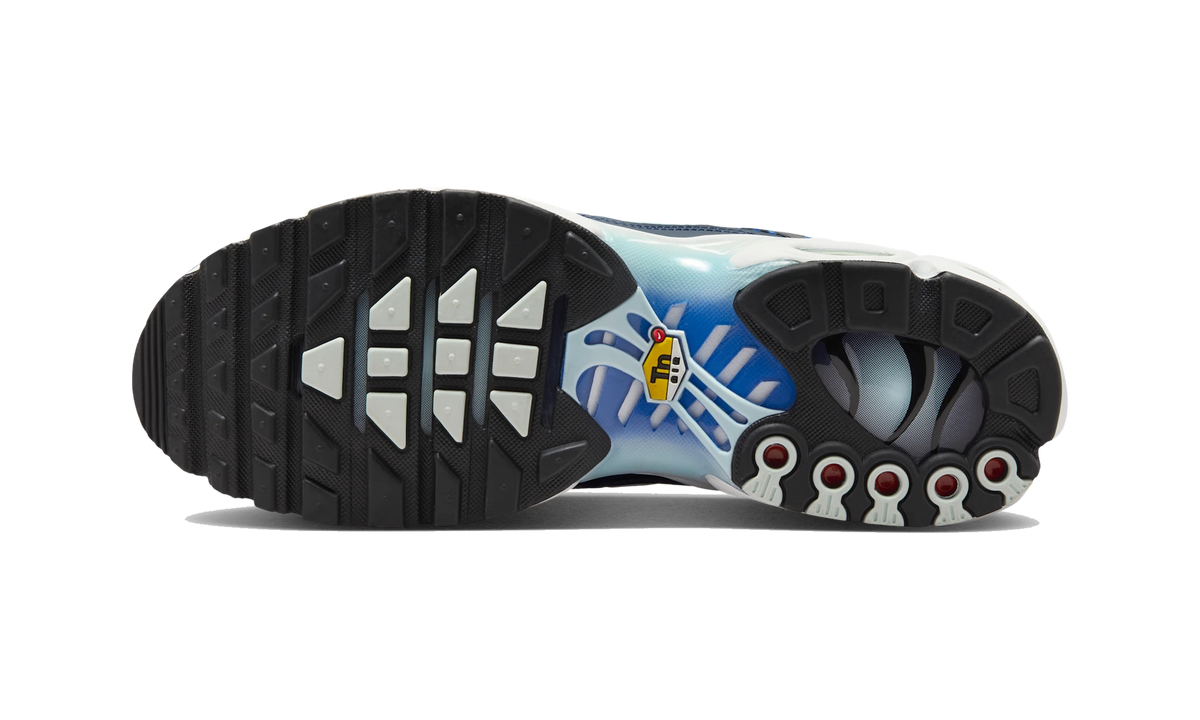 Nike Air Max Plus Tuned Air Obsidian
