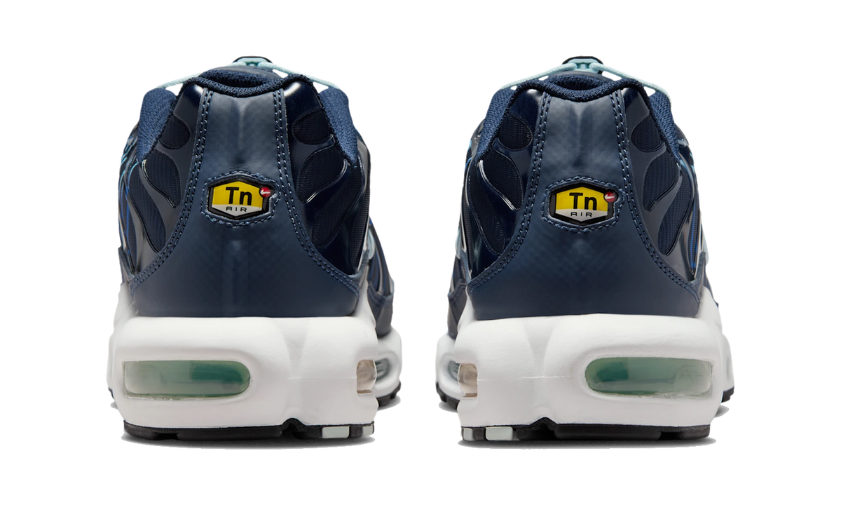 Nike Air Max Plus Tuned Air Obsidian