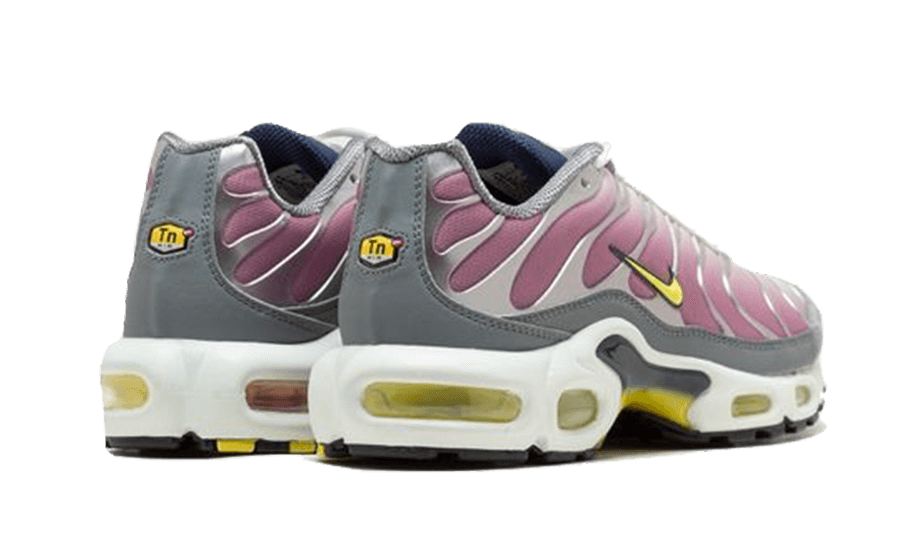 Nike Air Max Plus Violet Dust High Voltage, Violet Dust High Voltage (FN8007-500)