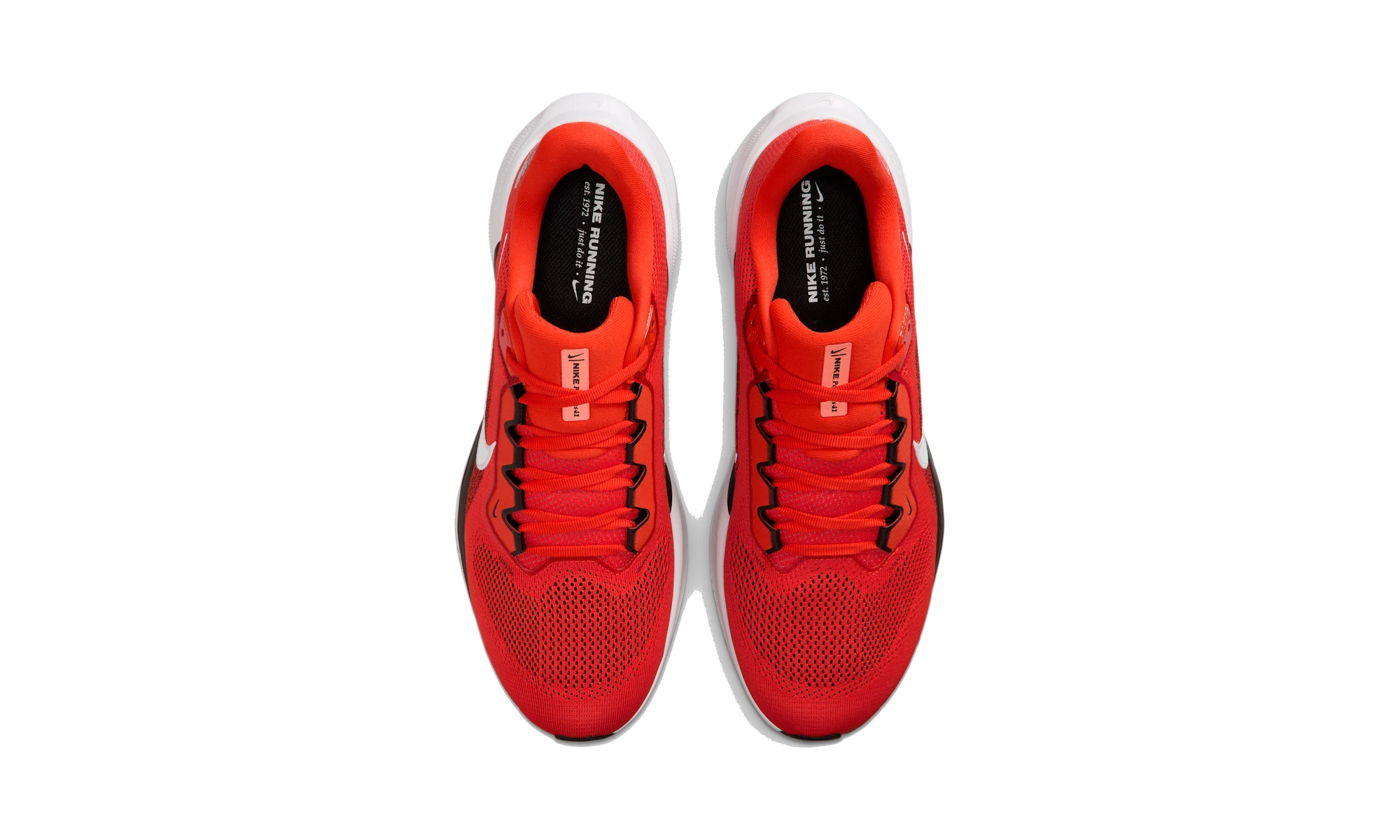 Nike Air Zoom Pegasus 41 Cleveland Browns (2025)