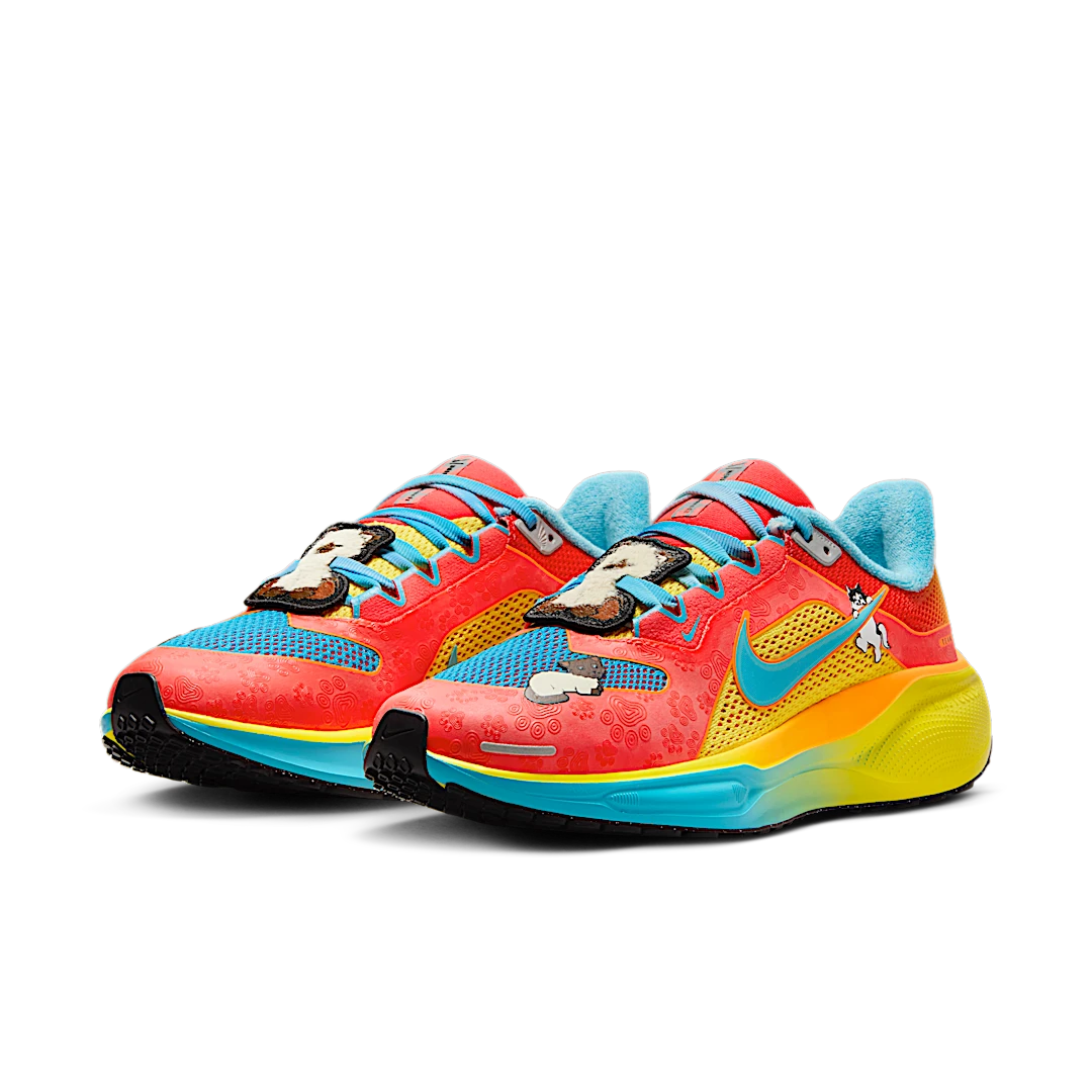 Nike Air Zoom Pegasus 41 Doernbecher Tima, Multi-Color/Multi-Color/Multi-Color (IB6096-920)