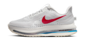 Nike Air Zoom Pegasus Premium Forrest Gump