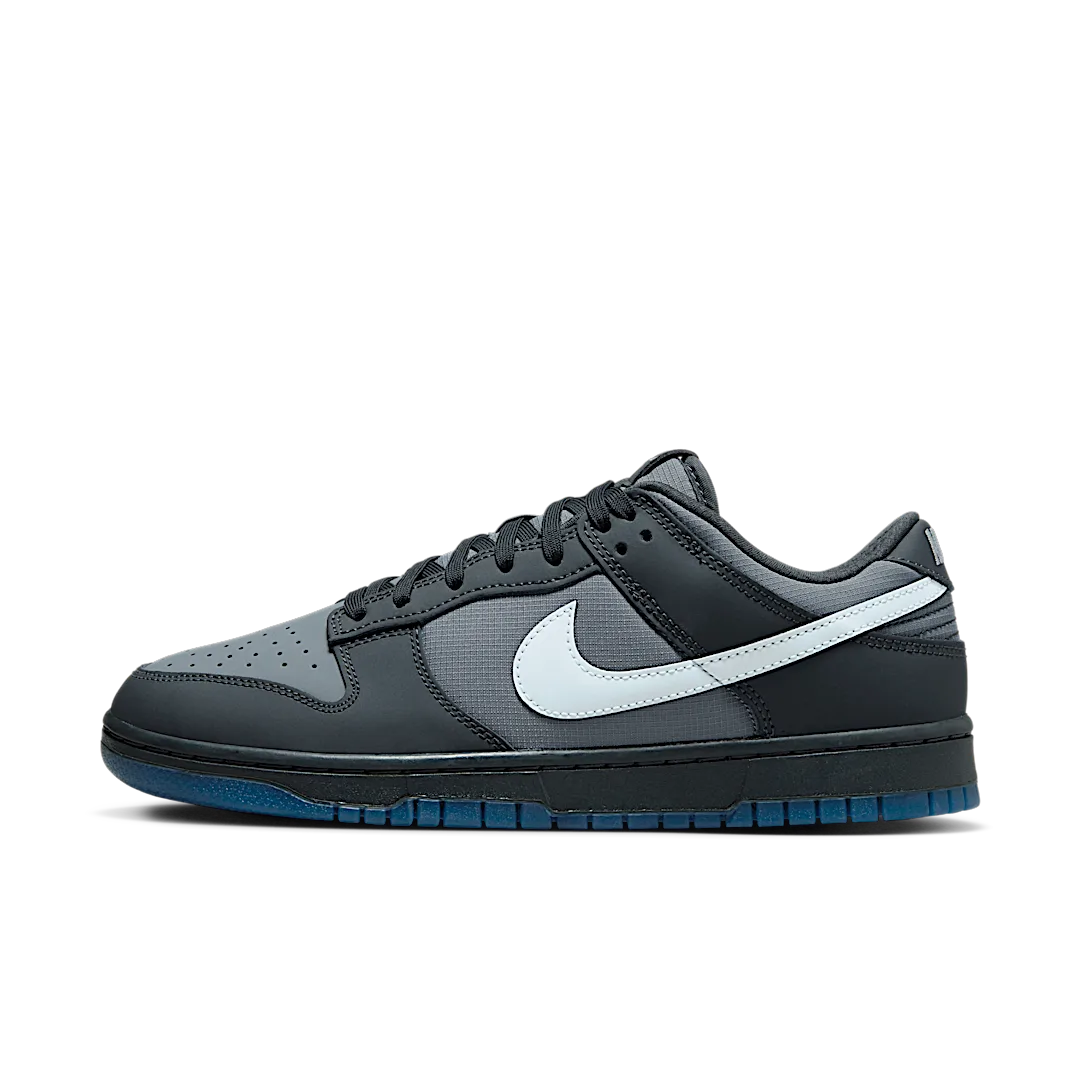 Nike Dunk Low Anthracite, Anthracite/Pure Platinum/Cool Grey (FV0384-001)