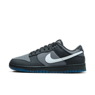 Nike Dunk Low Anthracite, Anthracite/Pure Platinum/Cool Grey (FV0384-001)