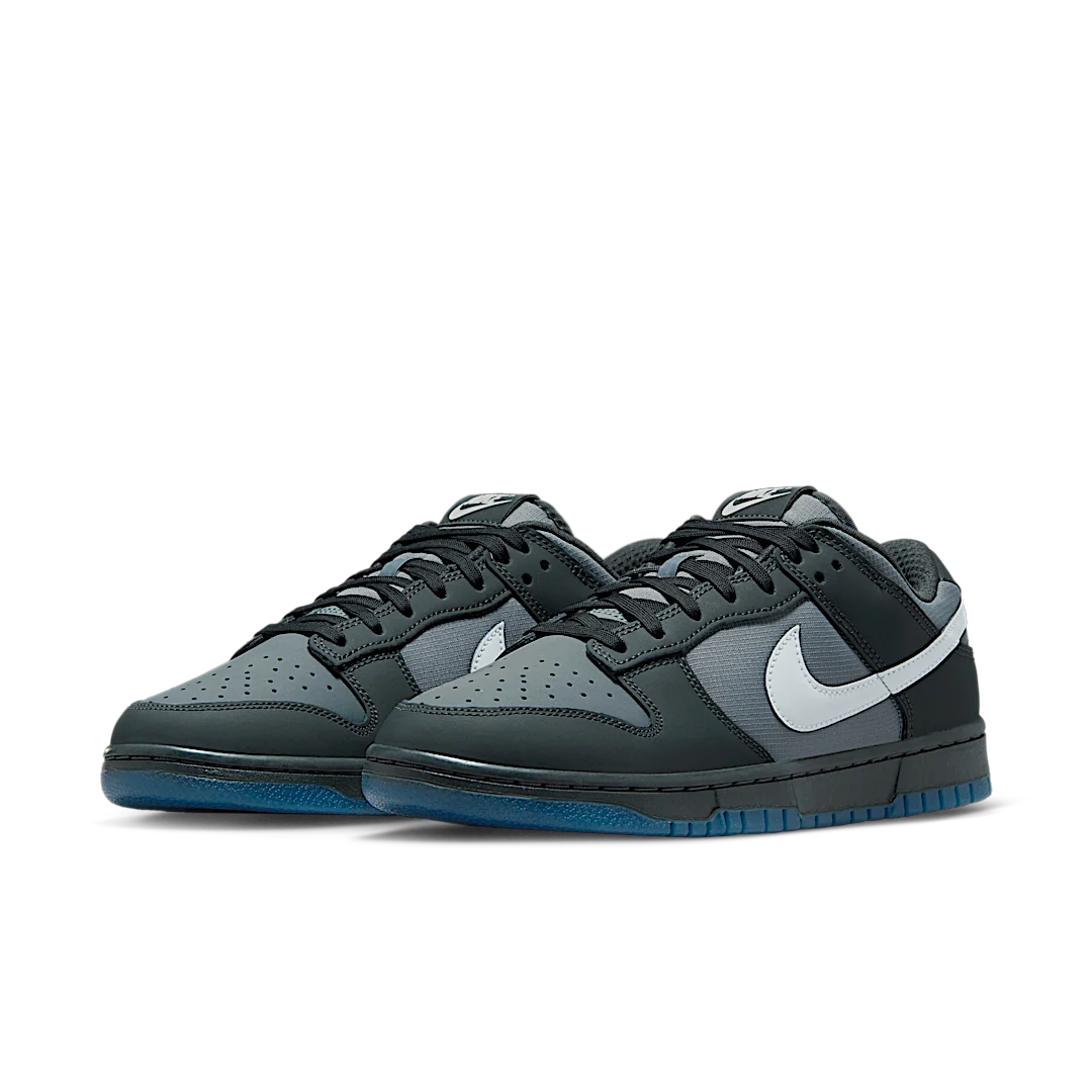 Nike Dunk Low Anthracite, Anthracite/Pure Platinum/Cool Grey (FV0384-001)