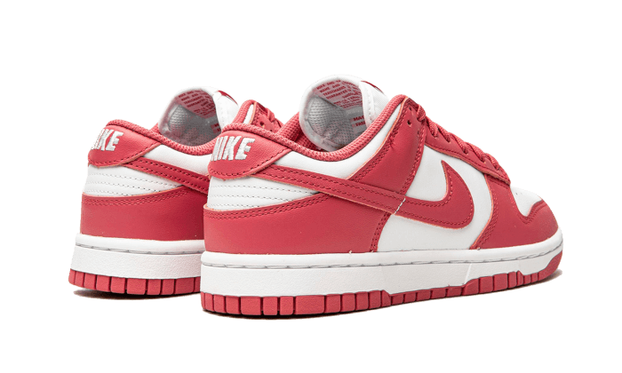 Nike Dunk Low Archeo Pink, White/Archeo Pink (DD1503-111)