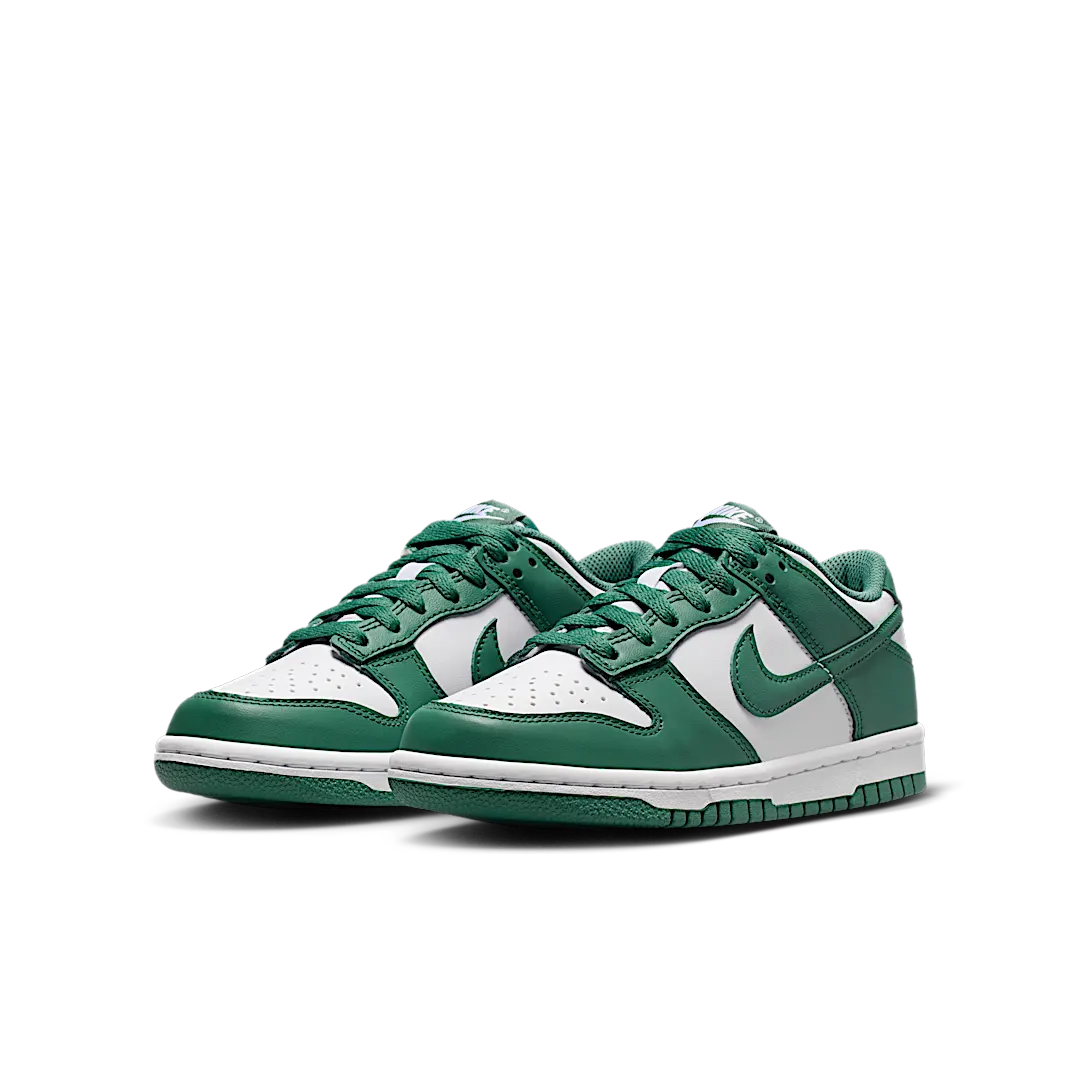 Nike Dunk Low Bicoastal, White/Bicoastal (HF4798-100)