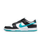 Nike Dunk Low Black Dusty Cactus, White/Dusty Cactus/Black (DV0833-109)