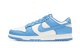 Nike Dunk Low Coast