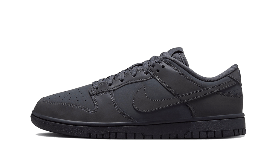 Nike Dunk Low Cyber Reflective, Anthracite/Racer Blue-Black (FZ3781-060)