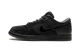 Nike Dunk Low Ducks of a Feather Black University of Oregon PE
