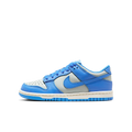 Nike Dunk Low Light Silver Sail Light Photo Blue