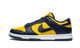 Nike Dunk Low Michigan (2021/2024)