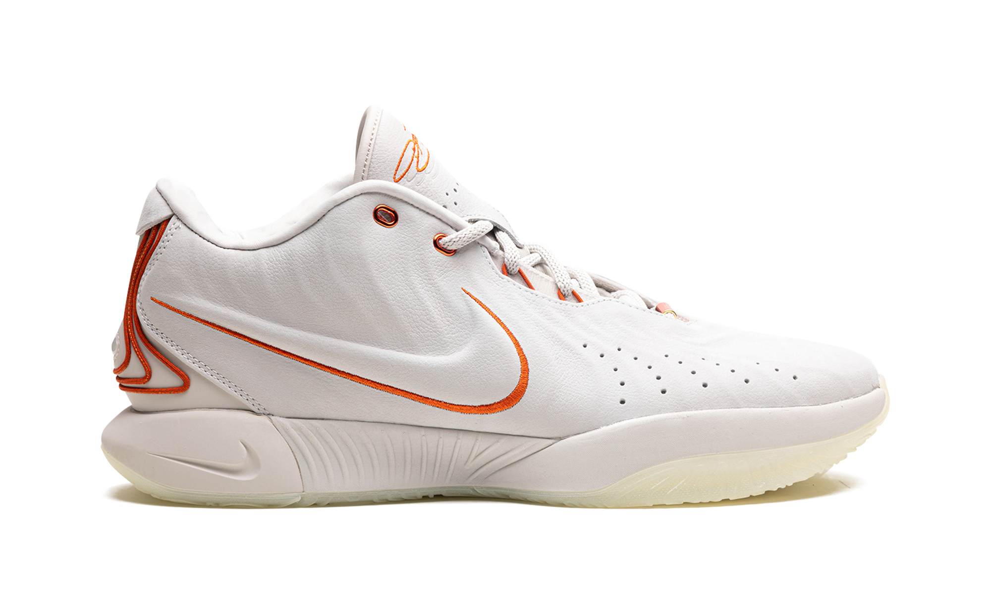 Nike LeBron 21 Akoya