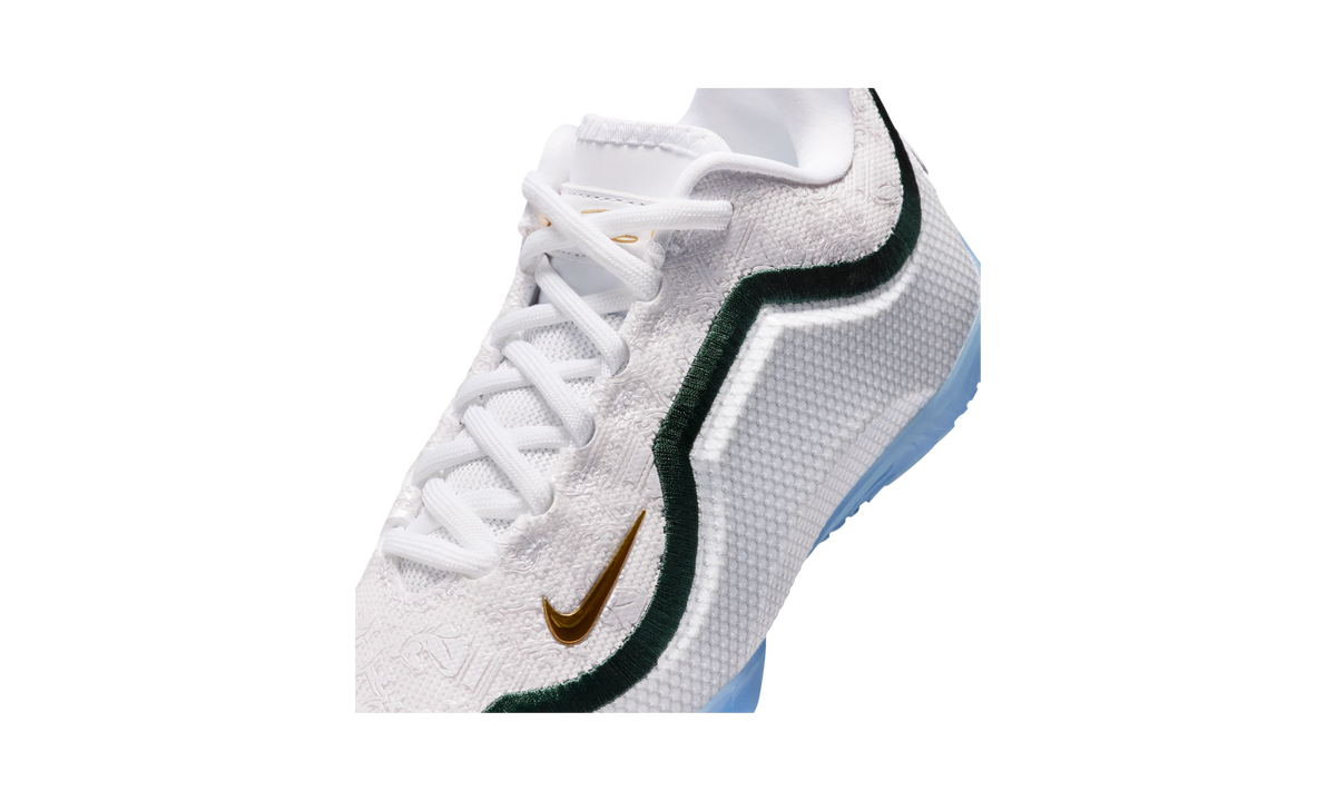 Nike LeBron 23 From This Point Forward
