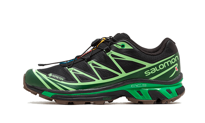 Salomon Advanced XT-6 Gore-Tex Eden Green Ash, Black/Eden/Green Ash (L47292100)