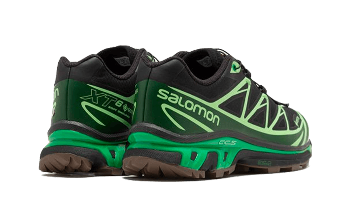 Salomon Advanced XT-6 Gore-Tex Eden Green Ash, Black/Eden/Green Ash (L47292100)