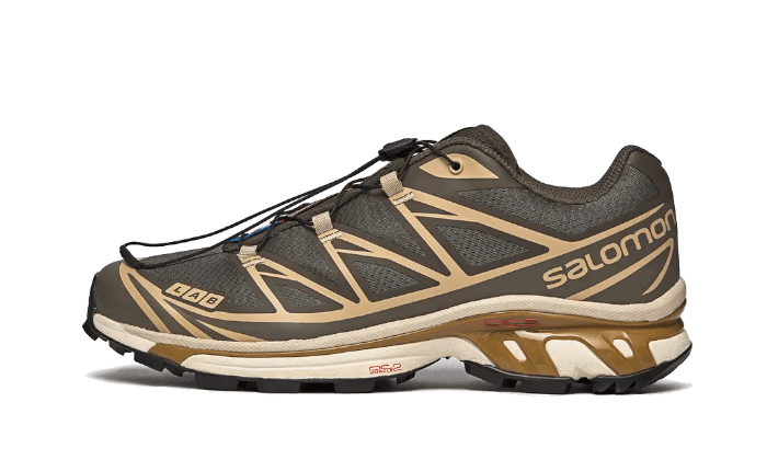 Salomon XT-6 Beluga Dull Gold, Beluga/Pewter/Dull Gold (L47136200)