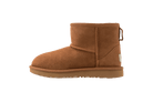 UGG Classic Mini Boot II Boot Chestnut, Chestnut (1017715K-CHE)