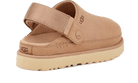 UGG Goldenstar Clog Driftwood, Driftwood (1138252-DRI)