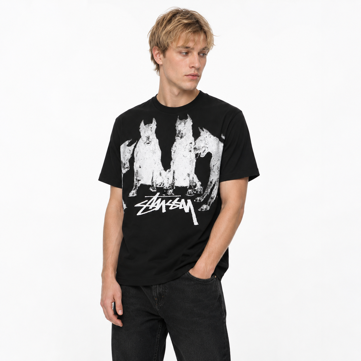 Stussy Doberman T-Shirt Black
